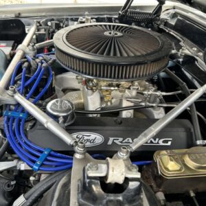 Fahrzeugabbildung Ford Mustang Fastback Sportsroof 5.7 V8 Motor 351 Vol
