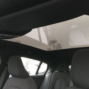Fahrzeugabbildung Volvo C40 Recharge Extended Range RWD Plus StandHZG AH