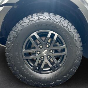 Fahrzeugabbildung Ford Ranger Raptor Doppelkabine 4x4 2.0 TDCi Panther