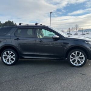 Fahrzeugabbildung Land Rover Discovery Sport HSE Luxury Stdhz.+Radar+Pano+ADL