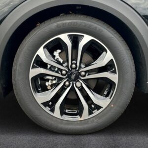 Fahrzeugabbildung Ford Puma Titanium 1.0 EcoBoost Mild Hybrid EU6d