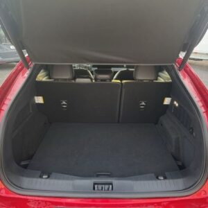 Fahrzeugabbildung Ford Mustang MACH-E AWD Navi digitales Cockpit Memory