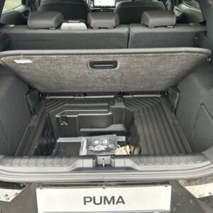 Fahrzeugabbildung Ford Puma Titanium 1.0 EcoBoost Mild Hybrid EU6d