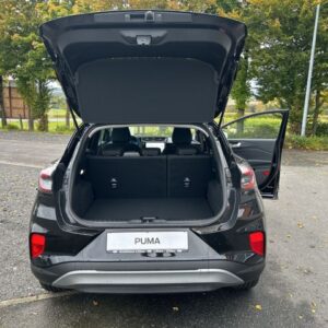 Fahrzeugabbildung Ford Puma Titanium 1.0 EcoBoost Mild Hybrid EU6d