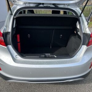 Fahrzeugabbildung Ford Fiesta Active 1.0 EcoBoost Motor neu