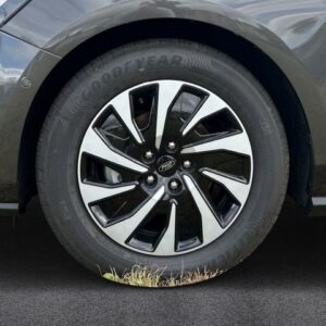 Fahrzeugabbildung Ford Focus Titanium 1.0 EcoBoost MHEV - Einparkassist
